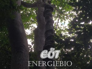 EÖT ENERGIEBIO